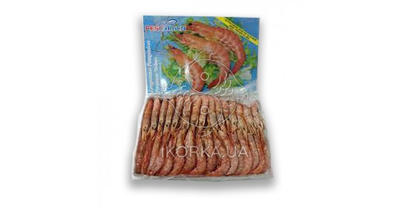 Креветка аргентинская с головой 31-40 L3 Pescargen (2 кг)