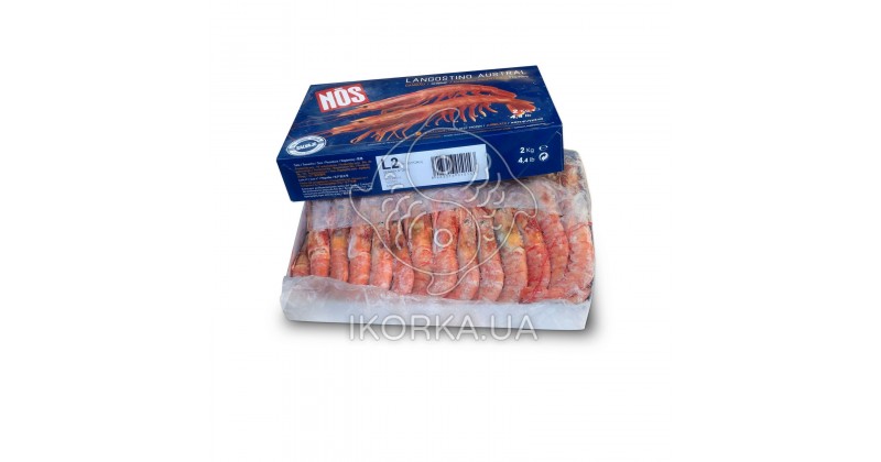 Креветка аргентинская с головой 21-30 L2 NOS (2 кг)