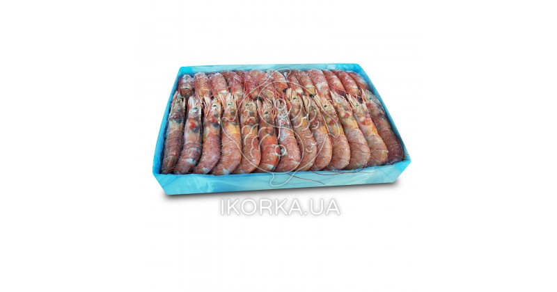 Креветка аргентинская с головой 21-30 L2 Tradarsa (2 кг)