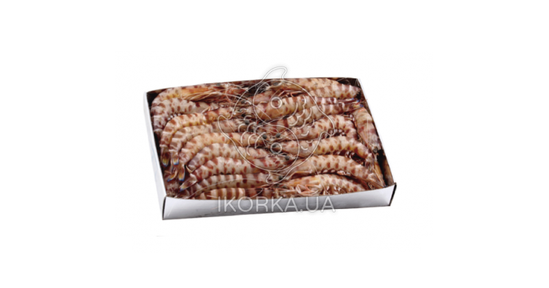 Креветка Испанский Тигр 30-40 Octogamba (1 кг)