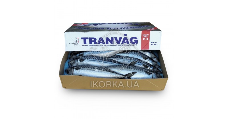 Скумбрия с/г c/м 600+ Tranvag (10 кг)
