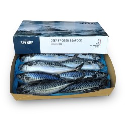 Скумбрия с/г c/м 600+ Brodrene Sperre (10 кг)