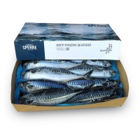 Скумбрия с/г c/м 600+ Brodrene Sperre (10 кг)