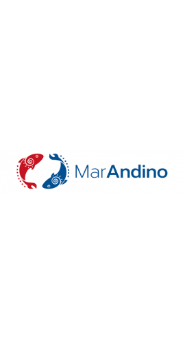 Mar Andino