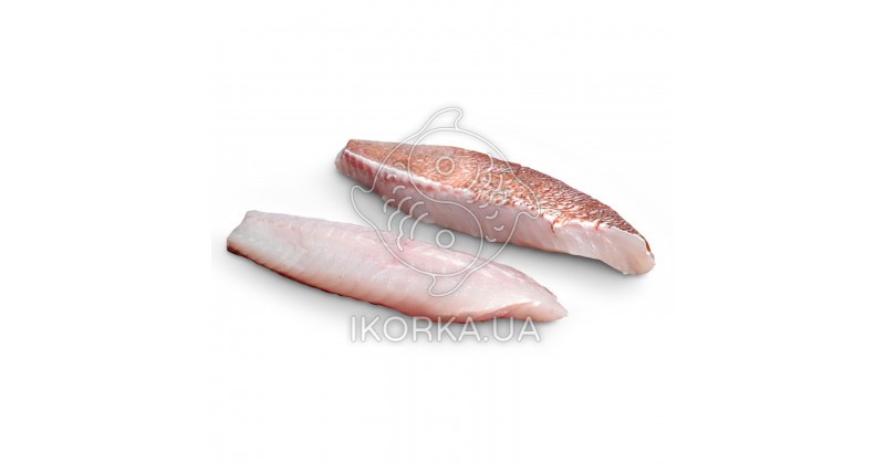 Окунь морской норвежский, филе на шкуре, очищенное с/м