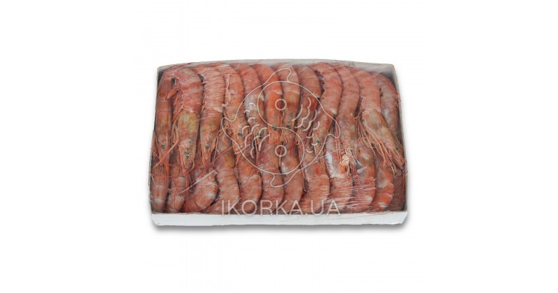 Креветка аргентинская с головой 21-30 L2 Pescar (2 кг)