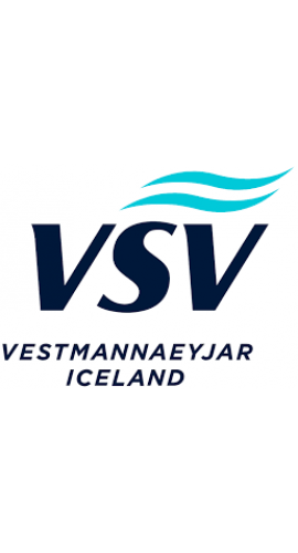 VSV