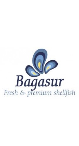 Bagasur