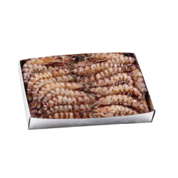 Креветка Испанский Тигр 30-40 Octogamba (1 кг)
