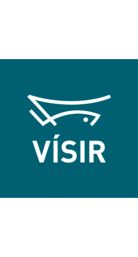 Visir hf