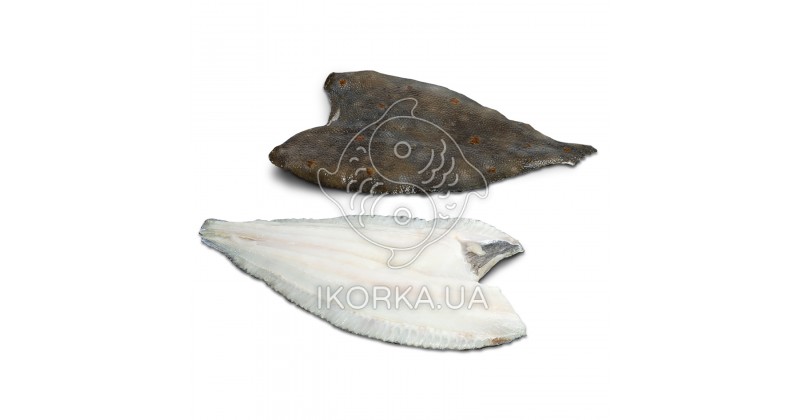 Камбала морская, филе на шкуре с/м