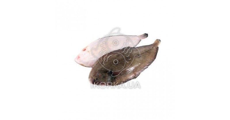 Камбала Доверсоль «Doversole», морской язык с/г, с/м 700-800
