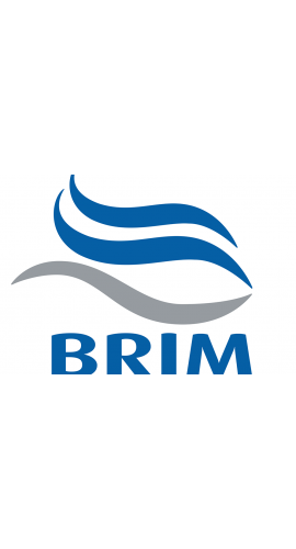 Brim