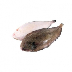 Камбала Доверсоль «Doversole», морской язык с/г, с/м 700-800