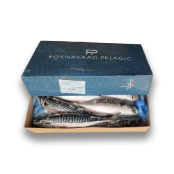 Скумбрия с/г c/м 600+ Fosnavaag Pelagic (10 кг)