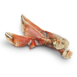Краб клешни Дандженесс (Dungeness crab) в/м