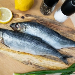 Топ 10 самых вкусных рыб в мире