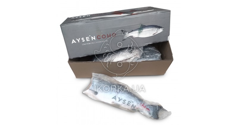 Кижуч тушка AysenCoho (2,7-4,1 кг)