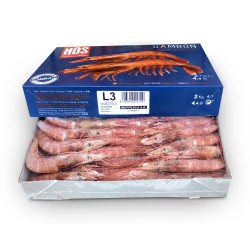 Креветка аргентинская с головой 31-40 L3 NOS (2 кг)