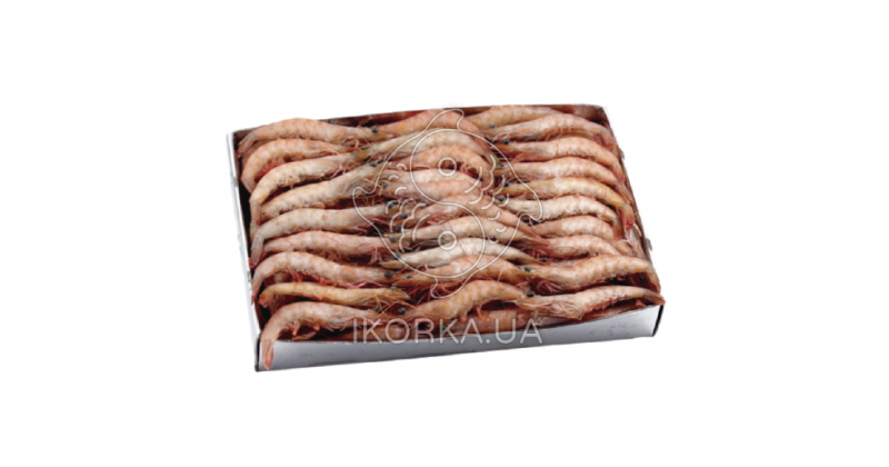 Креветка Розовая Южная 60-80 Octogamba (1 кг)