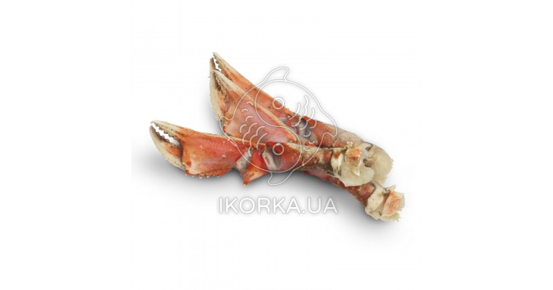 Краб клешни Дандженесс (Dungeness crab) в/м