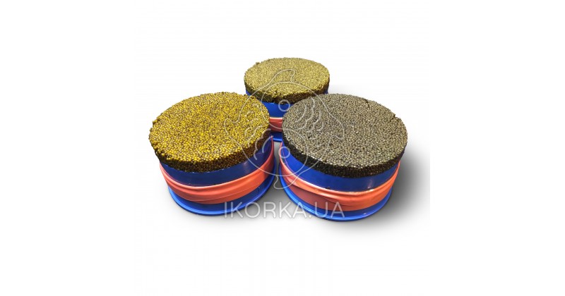 Черная икра осетра CAVIAR MALOSSOL PREMIUM FROSISTA, 1,7 кг в кубитейнере.