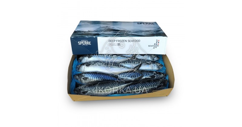 Скумбрія з/г c/м 600+ Brodrene Sperre (10 кг)