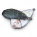 Камбала Доверсоль «Doversole», морской язык с/г, с/м 700-800