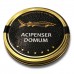 Икра черная осетровая Acipenser Domum️ (100 г)